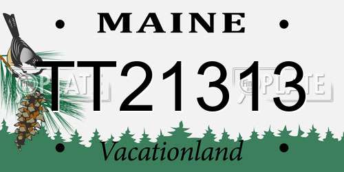 TT21313 Maine License Plate