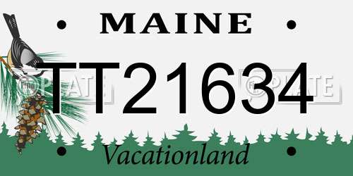 TT21634 Maine License Plate