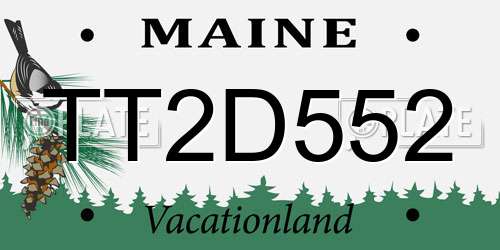 TT2D552 Maine License Plate