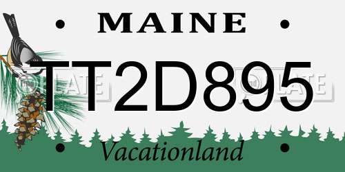 TT2D895 Maine License Plate