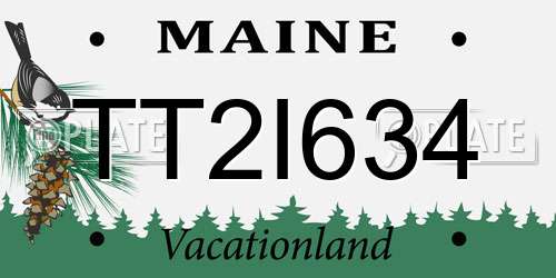 TT2I634 Maine License Plate