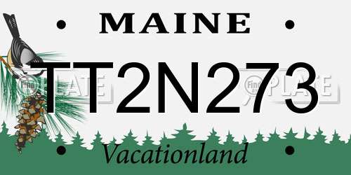 TT2N273 Maine License Plate