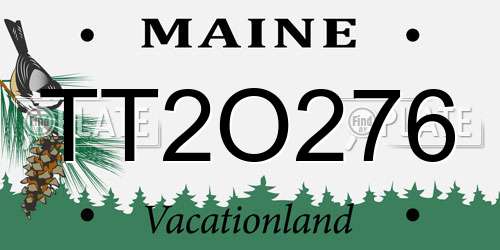 TT2O276 Maine License Plate