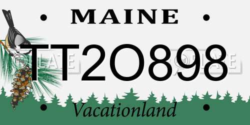 TT2O898 Maine License Plate