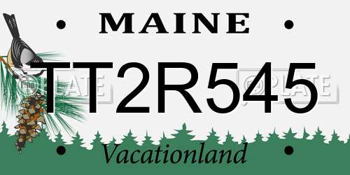 TT2R545 Maine License Plate