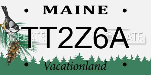 TT2Z6A Maine License Plate