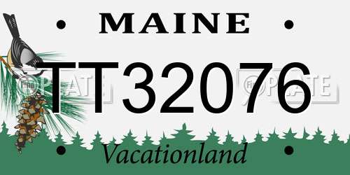 TT32076 Maine License Plate