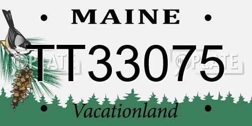 TT33075 Maine License Plate