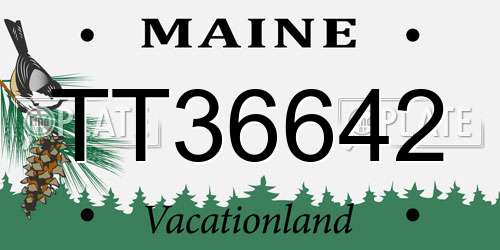 TT36642 Maine License Plate