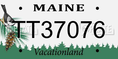 TT37076 Maine License Plate
