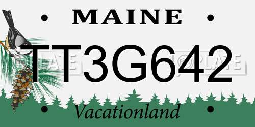 TT3G642 Maine License Plate