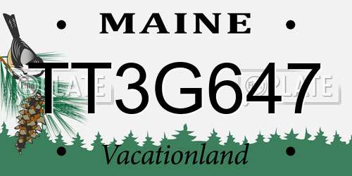 TT3G647 Maine License Plate