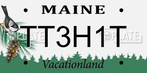 TT3H1T Maine License Plate
