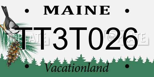 TT3T026 Maine License Plate