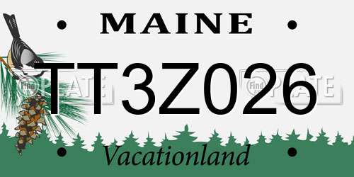 TT3Z026 Maine License Plate