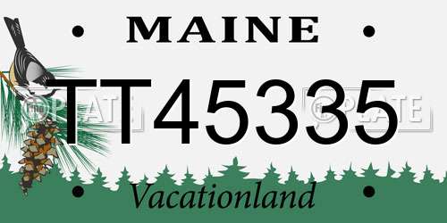 TT45335 Maine License Plate