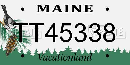 TT45338 Maine License Plate