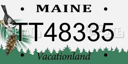 TT48335 Maine License Plate