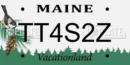 TT4S2Z Maine License Plate