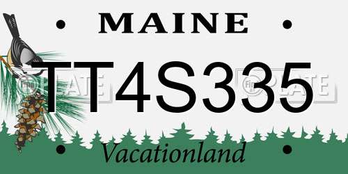 TT4S335 Maine License Plate