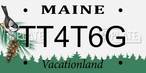 TT4T6G Maine License Plate
