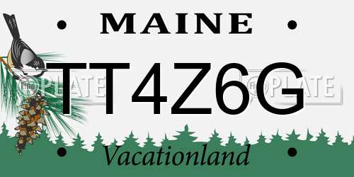 TT4Z6G Maine License Plate