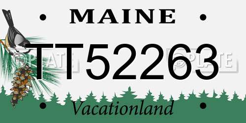 TT52263 Maine License Plate