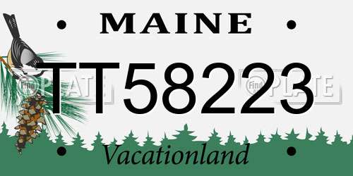 TT58223 Maine License Plate