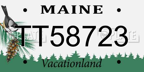 TT58723 Maine License Plate