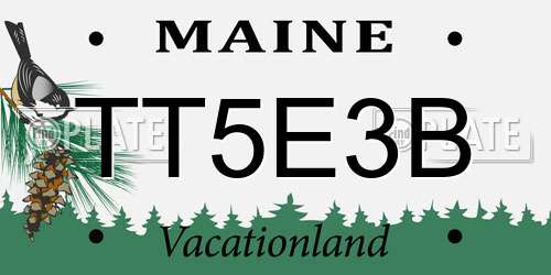 TT5E3B Maine License Plate
