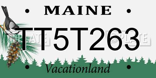 TT5T263 Maine License Plate