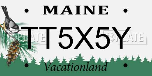 TT5X5Y Maine License Plate