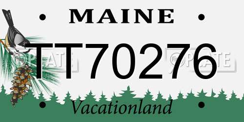 TT70276 Maine License Plate