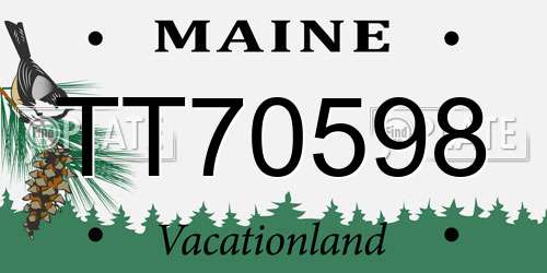 TT70598 Maine License Plate