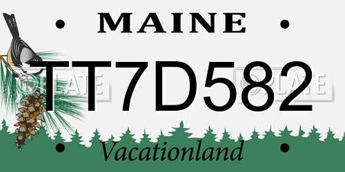 TT7D582 Maine License Plate