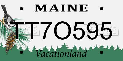 TT7O595 Maine License Plate