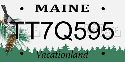 TT7Q595 Maine License Plate