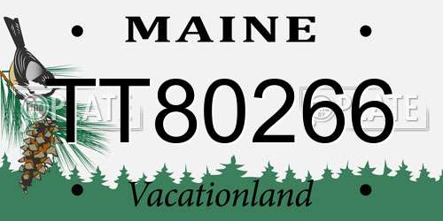 TT80266 Maine License Plate
