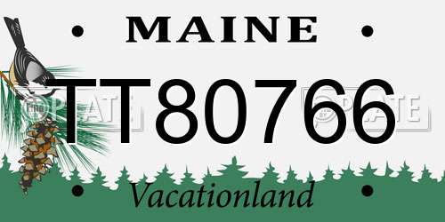 TT80766 Maine License Plate