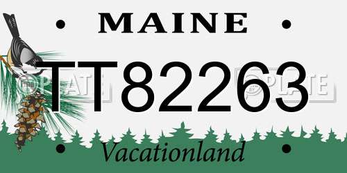 TT82263 Maine License Plate