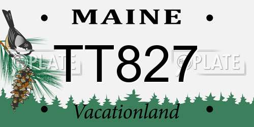 TT827 Maine License Plate