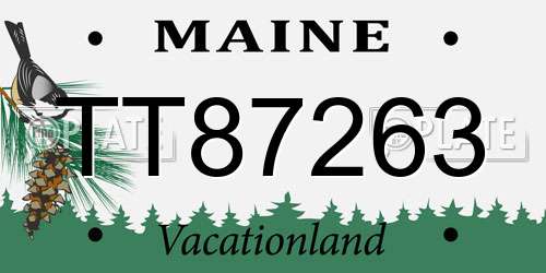 TT87263 Maine License Plate