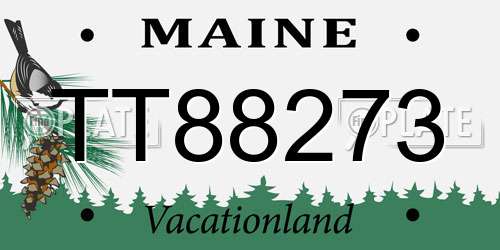 TT88273 Maine License Plate