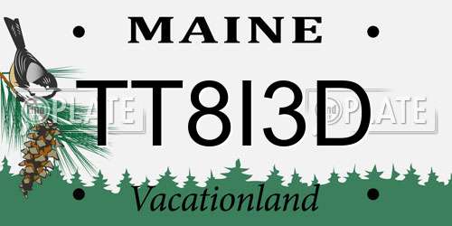 TT8I3D Maine License Plate