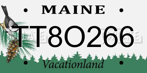 TT8O266 Maine License Plate