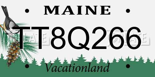 TT8Q266 Maine License Plate