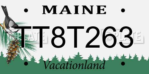 TT8T263 Maine License Plate