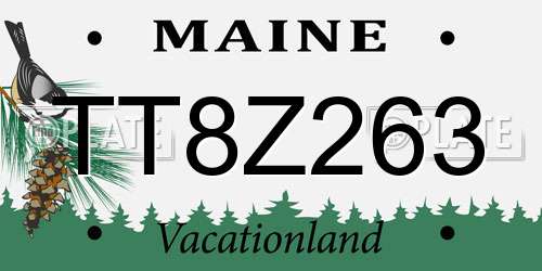 TT8Z263 Maine License Plate