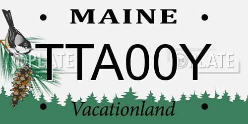 TTA00Y Maine License Plate