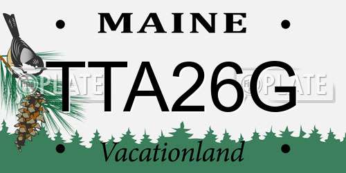 TTA26G Maine License Plate